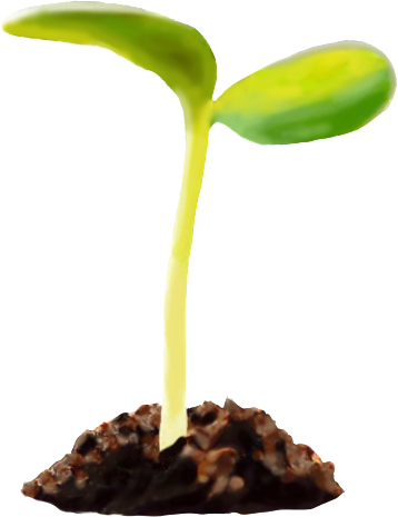Seed Scheduler logo